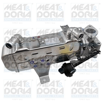 EGR Module